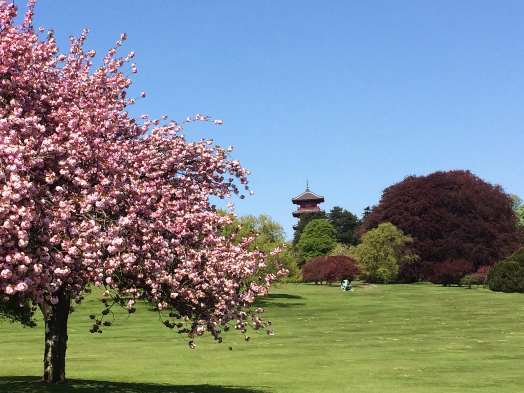 Général Laeken.Brussels