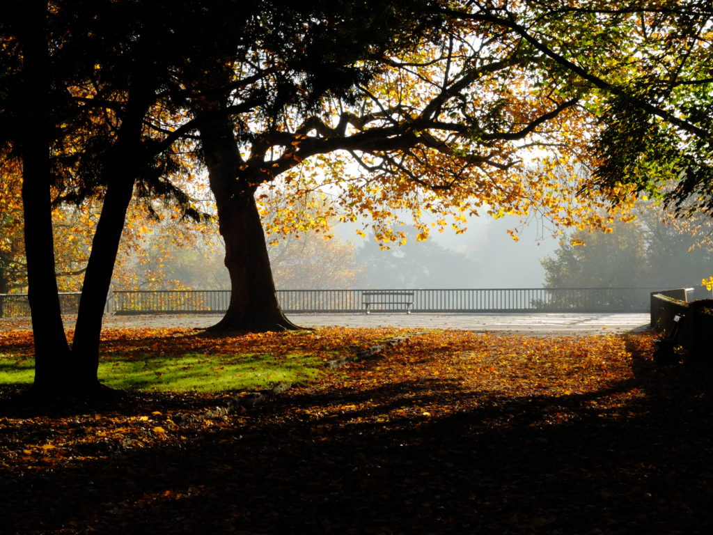 Parcs - Laeken.Brussels